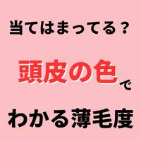 画像1054