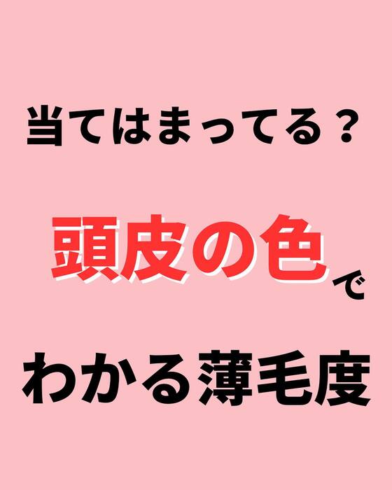 画像1054