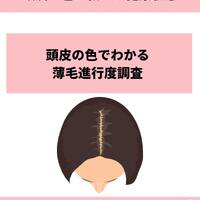 画像1055