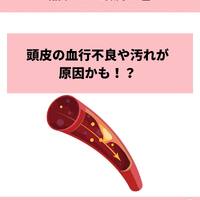 画像1059