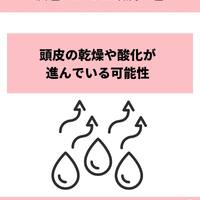 画像1060