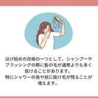 画像1242
