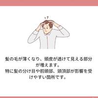 画像1243