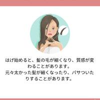 画像1244