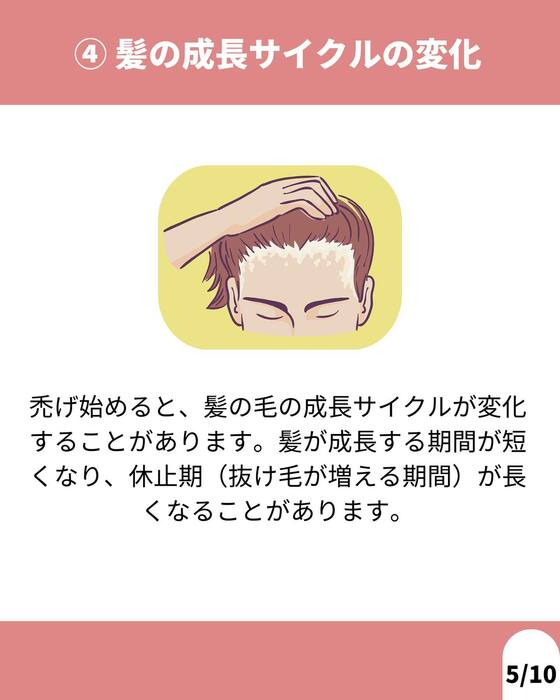 画像1245