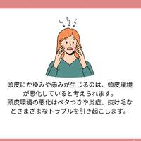 画像1246