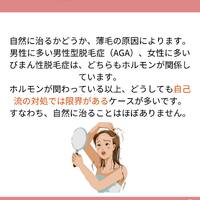 画像1295