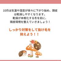 画像1334