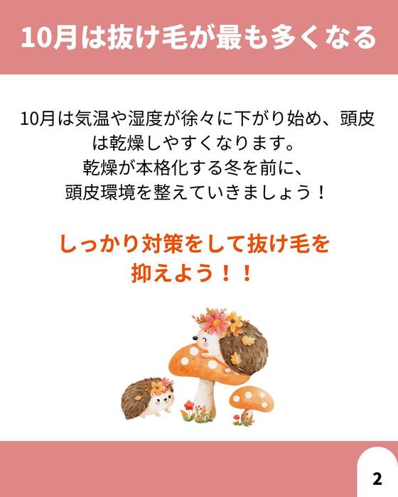 画像1334