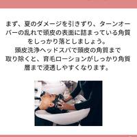 画像1335