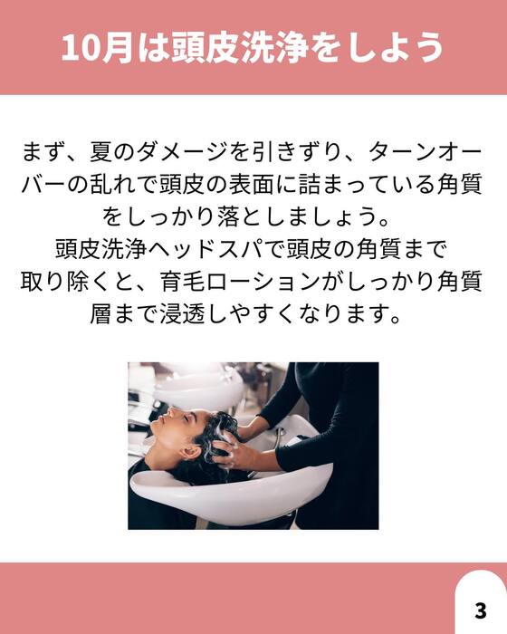 画像1335