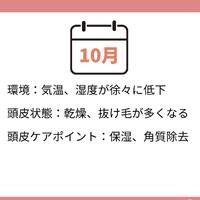 画像1337