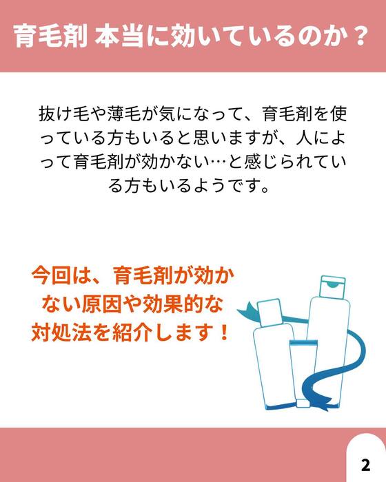 画像1375