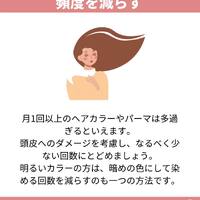 画像1461