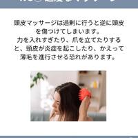 画像1531
