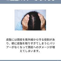 画像1542