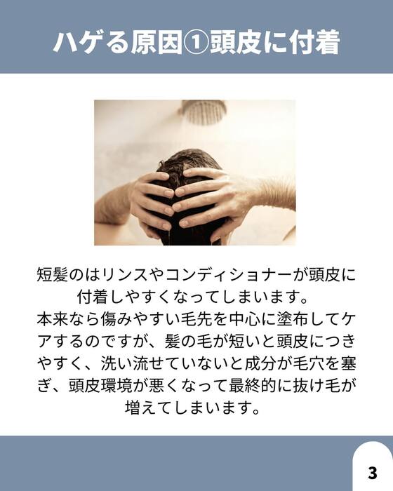 画像1586