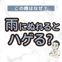画像1615