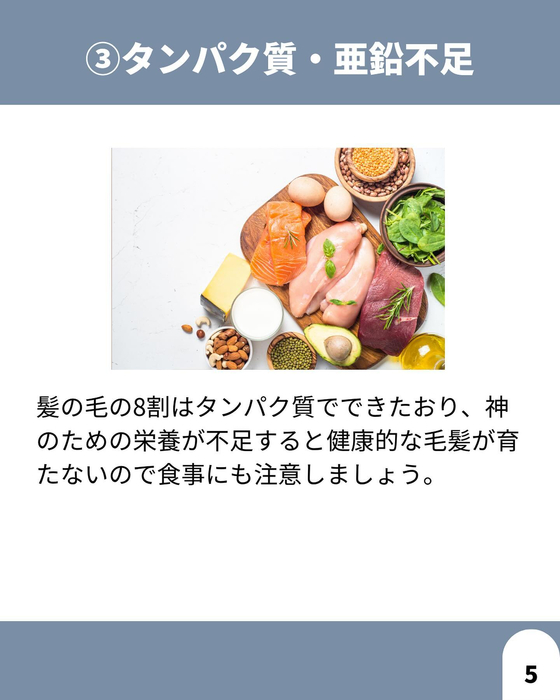 画像1631