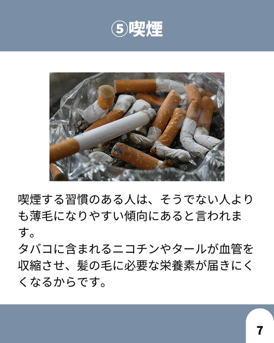 画像1633