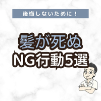 画像1646