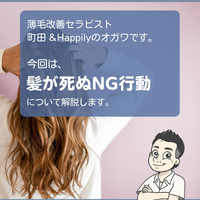 画像1647