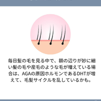画像1660