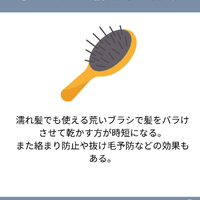 画像1696