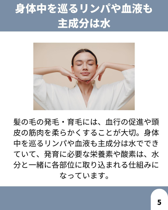 画像1727