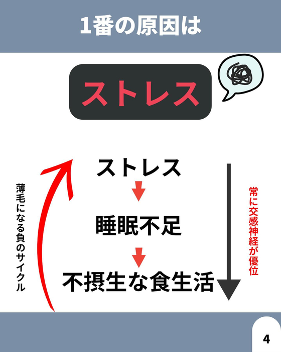 画像1736