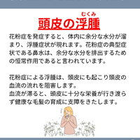 画像1753