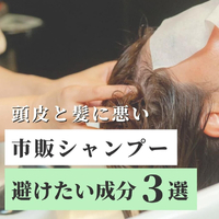 画像1822