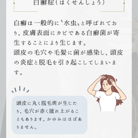 画像1927