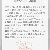 画像1945