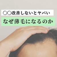 画像2059