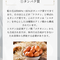 画像2237