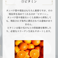 画像2239