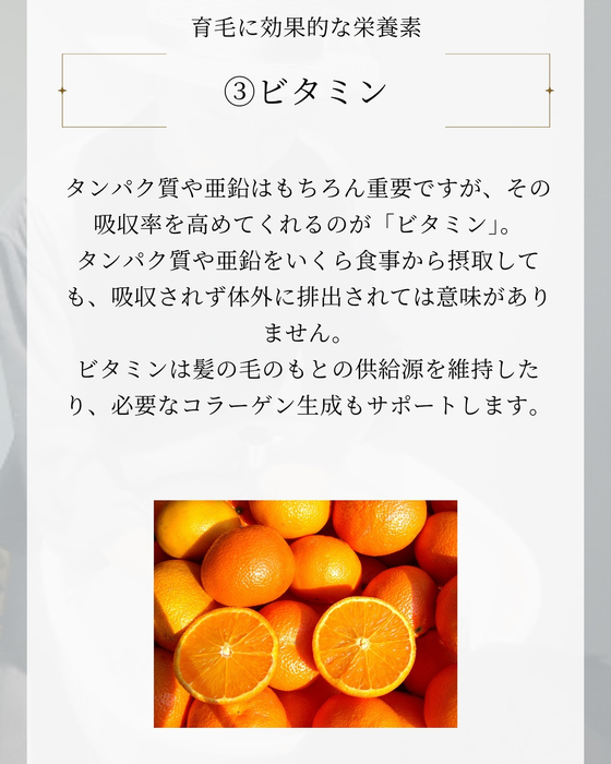画像2239