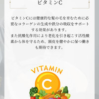 画像2242