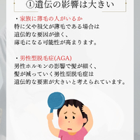 画像2339