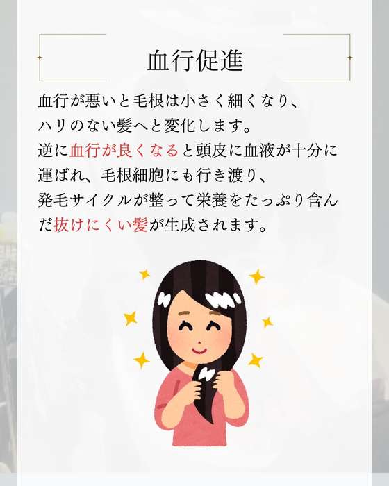 画像2356