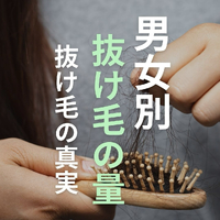 画像2379