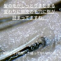 画像244