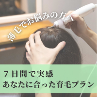 画像2544