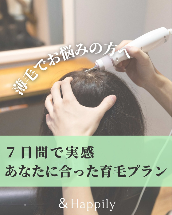 画像2544