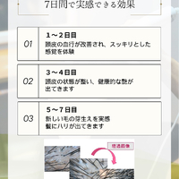画像2546