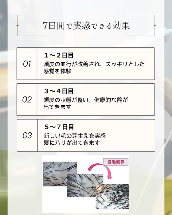 画像2546