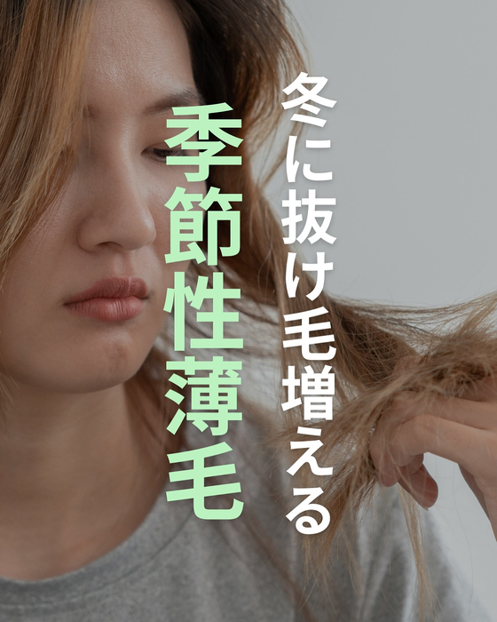 画像2574
