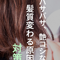 画像2597