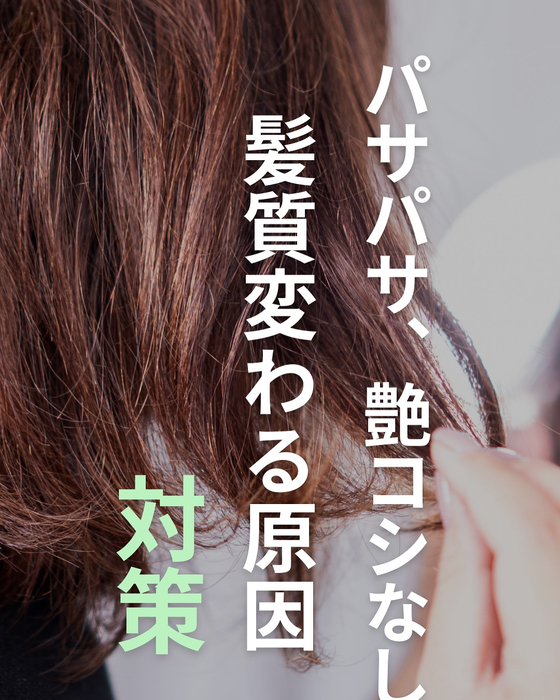 画像2597